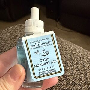 Bath & Body Works Crisp Morning Air Refill - Light Blue